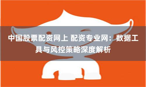 中国股票配资网上 配资专业网：数据工具与风控策略深度解析